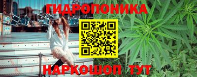 каннабис Кунгур