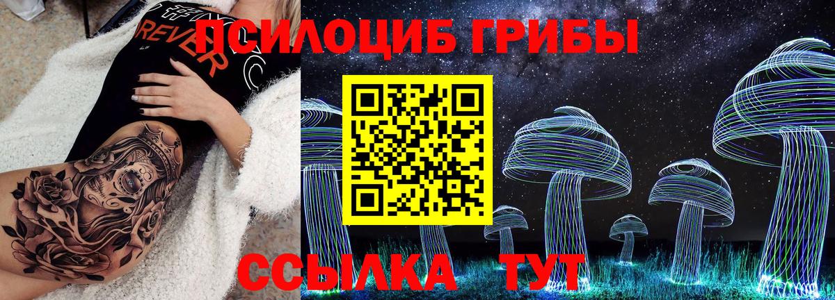Галлюциногенные грибы Psilocybe Зима